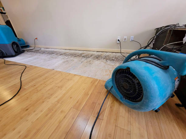 Professional Water Damage Repair technician working in Gomer, OH